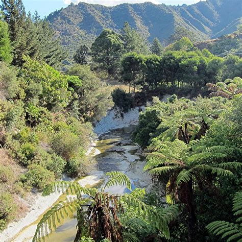 whanganui river aktuelle  lohnt es sich mit fotos tripadvisor