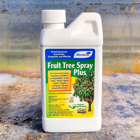 Organic Fungicide For Apple Trees Pestphobia