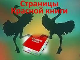 Презентация - Страницы Красной книги (10 слайдов)