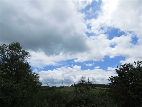 Jakobus Wolken H Gel B Ume Wiese Bernd Brang Flickr