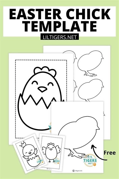 Free Printable Easter Chick Template Coloring Pages Lil Tigers