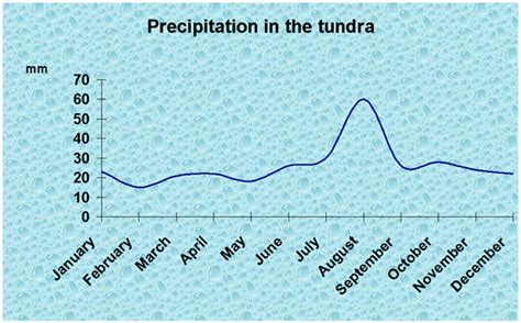 Temperature and Precipitation - Tundra Biome