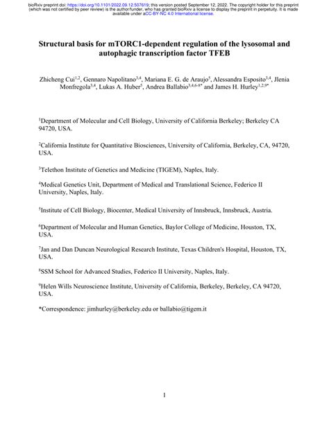 PDF Structural Basis For MTORC1 Dependent Regulation Of The Lysosomal