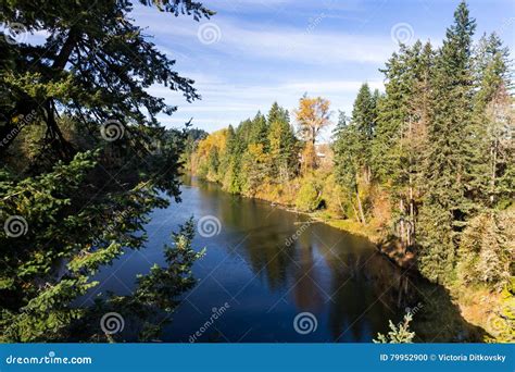 Clackamas River Stock Photo Image Of Tourism Landscape 79952900