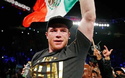 Canelo Alvarez Wallpapers (26+ images inside)