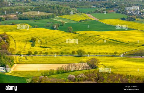 Aerial View Canola Fields Canola Hi Res Stock Photography And Images