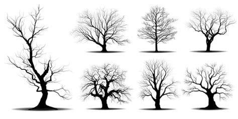 Black Branch Tree Naked Trees Silhouettes Set Hand Drawn Isolated Stock Vector By Mineemail