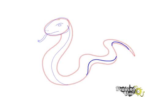 How To Draw A Snake Tattoo Step By Step Cobra Schlange Schlangen