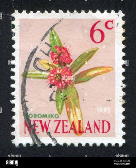 NEW ZEALAND CIRCA 1960 Stamp Printed By New Zealand Shows Koromiko