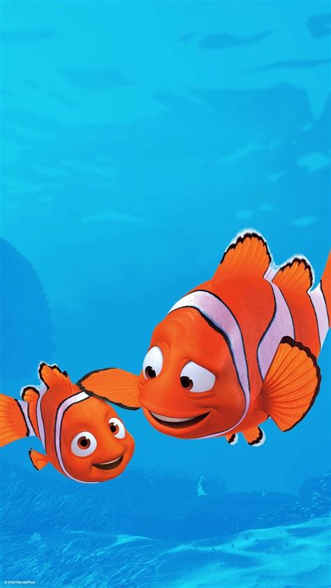 Buscando A Nemo Disney Wallpaper Finding Nemo Disney Finding Dory