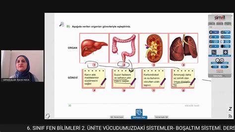 6 SINIF FEN BİLİMLERİ 2 ÜNİTE VÜCUDUMUZDAKİ SİSTEMLER BOŞALTIM