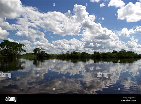 Las Selvas De Bolivia Fotografía De Stock Alamy