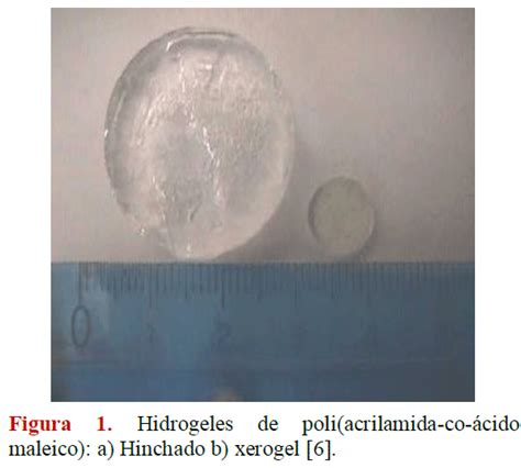 Materiales Polimeros De Tipo Hidrogeles Revisi N Sobre Su