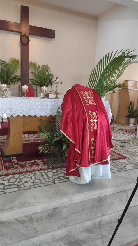 Veja Fotos Da Missa Do Domingo De Ramos Na Par Quia Nossa Senhora M E