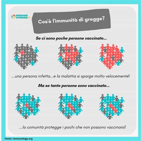 Immunità di gregge Covid cosa significa e perché dobbiamo raggiungerla