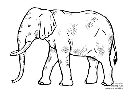 Dibujo Elefante Para Colorear E Imprimir