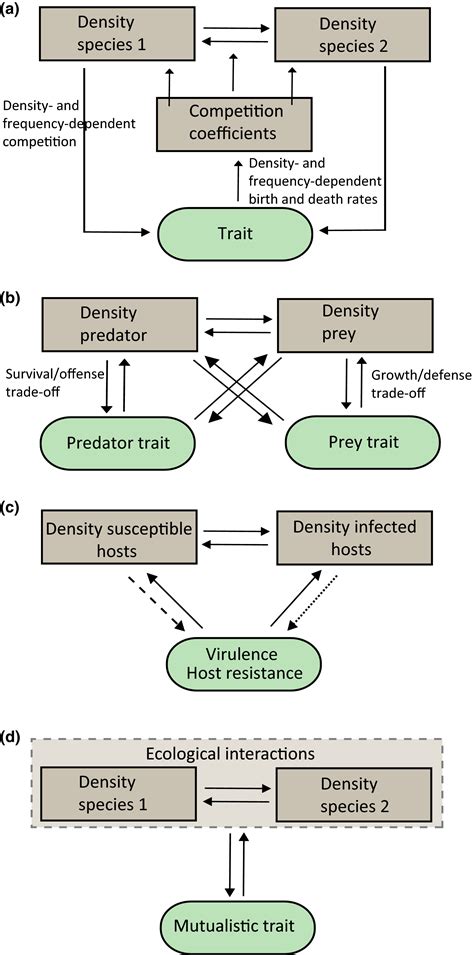 Eco‐evolutionary Feedbacks—theoretical Models And Perspectives