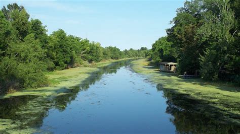 Born On The Bayou Creedence Clearwater Revival With Lyrics