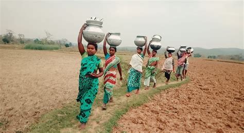 Wild & Sweet - Wild & Sweet added a new photo — with Tara...