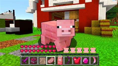 Minecraft Als Edgar Schwein Spielen Youtube