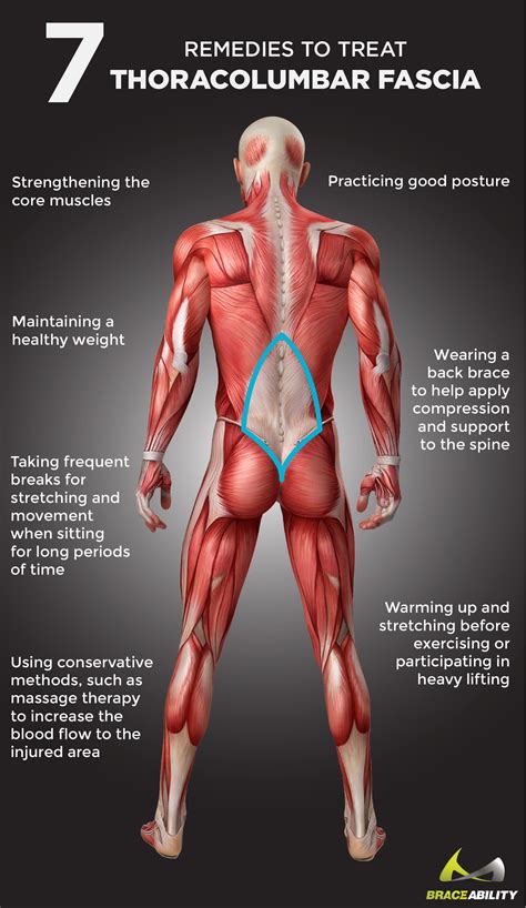 Pin On Helath Rehab