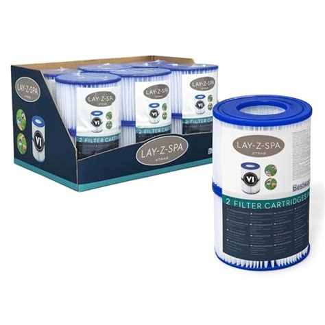 How To Clean Hot Tub Filters December 2024
