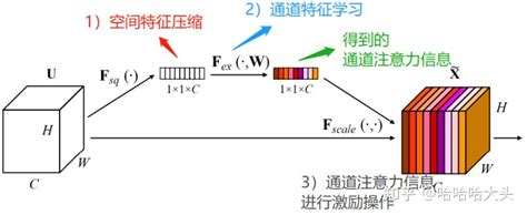 注意力SE模块 知乎