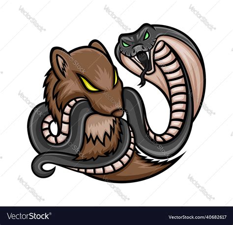 Mongoose and cobra Royalty Free Vector Image - VectorStock