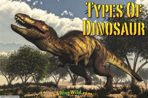 Discover The Different Types Of Dinosaurs With Pictures And Facts