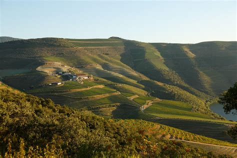 Quinta De Ventozelo Hectares Wine Tasting Portugal By Wine