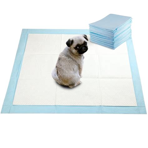 Guidelines On How To Train A Dog Using A Dog Training Pad Doglopedix