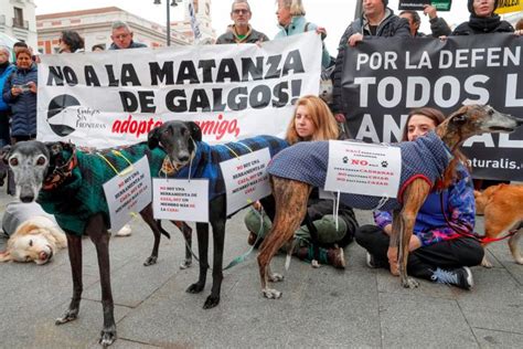 Miles De Personas Protestan En Toda Espa A Contra La Caza Y El Maltrato