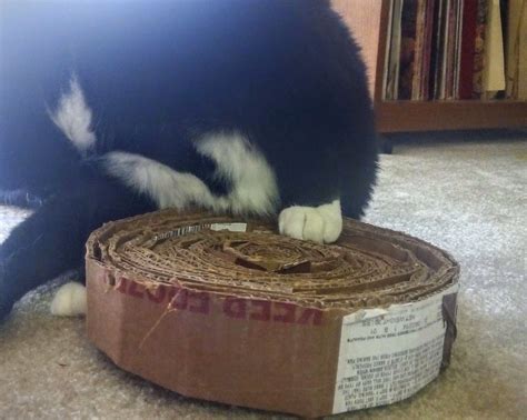 DIY July: Cardboard Cat Scratcher