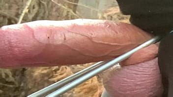 Nacho vidal gay video Videos Porno Hd Películas De Sexo Gratis