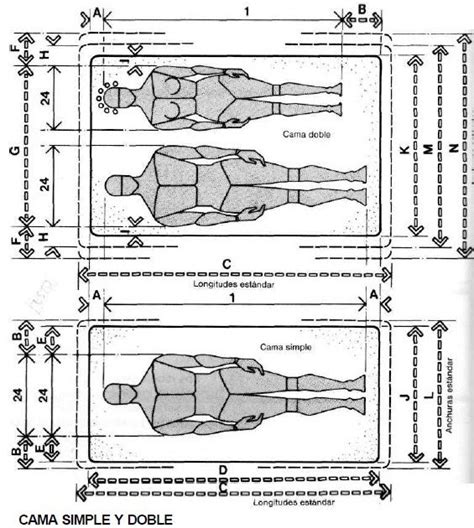 Muebles Domoticos Medidas Antropometricas Para DiseÑar Camas Y Camarotes