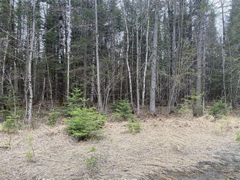 Caribou Me Real Estate Caribou Homes For Sale ®