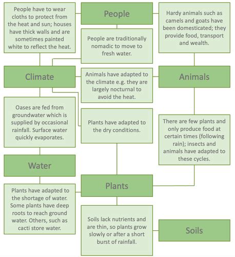Geography Hot Deserts Flashcards Quizlet