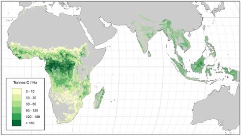 Forest Biomass Carbon Maps For Africa And Southeast Asia Produced By