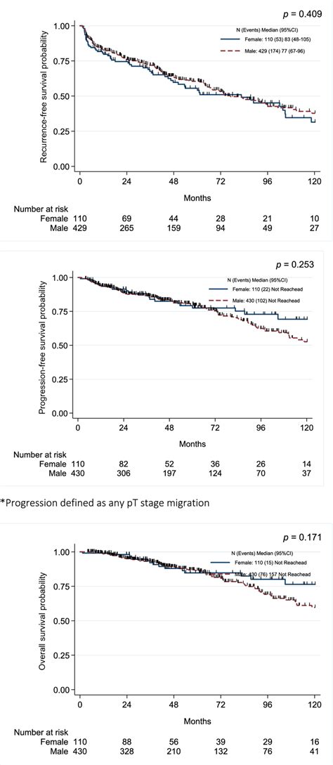 Kaplanmeier Survival Curves For Recurrence Free Survival