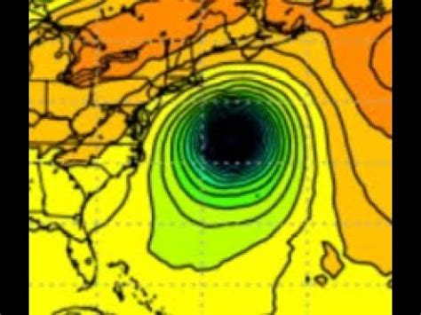 Large Cat Hurricane Lee Update Youtube