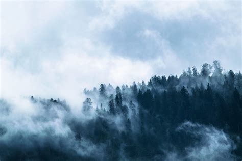 Gloomy Dream Meaning - iDre.am | Dream Dictionary