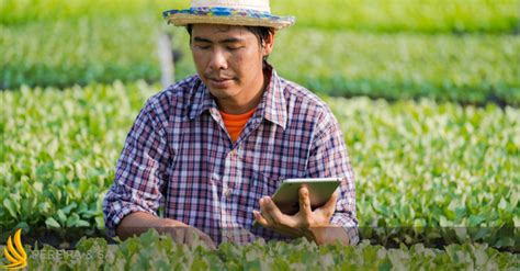 Como Requerer A Aposentadoria Por Idade Rural