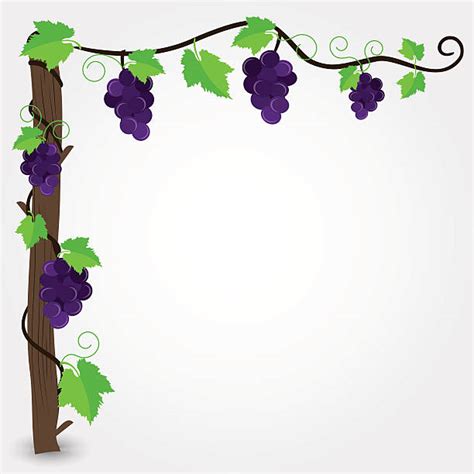 Grape Borders And Frames