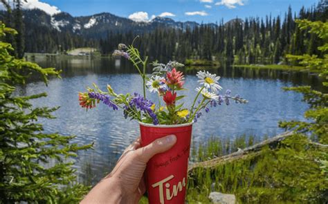 canada       canadian images  chatelaine