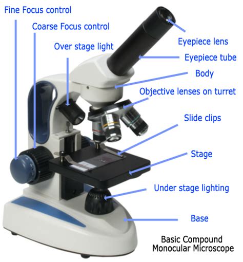 Introduction To Microscopy With Online Projects