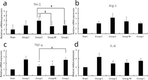 Effect Of Liraglutide On Inflammatory Factors In Aortic Walls