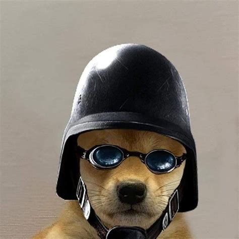 Doge With Hat R6 Doge Crypto