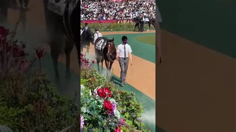 【日本ダービー2022】ドウデュース貫禄のパドック Shorts 競馬動画まとめ