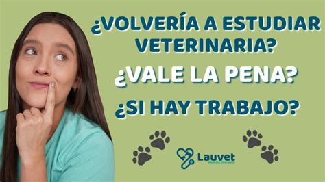 Cuanto Te Pagan Por Ser Veterinaria Cursargestiones