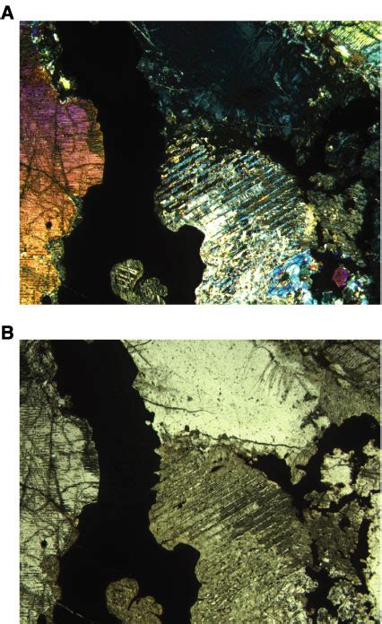 Figure F14 Photomicrograph In Cross Polarized And Plane Polarized